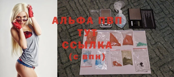 мет Бородино
