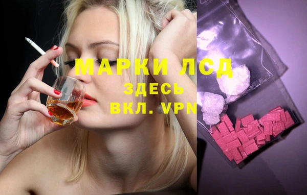 мет Бородино