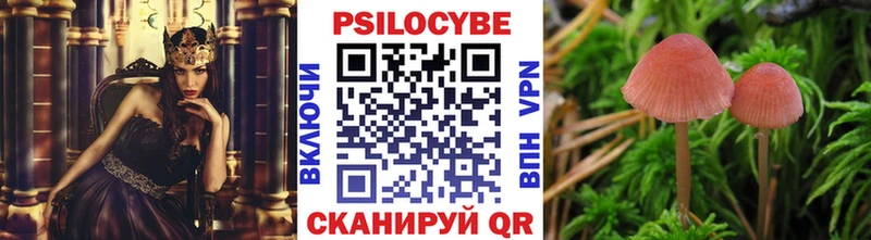 Галлюциногенные грибы GOLDEN TEACHER Кингисепп