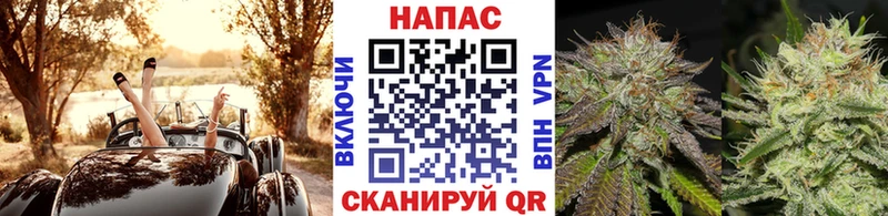 Каннабис планчик  нарко площадка наркотические препараты  Кингисепп  kraken рабочий сайт 